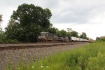 NS 4009 on the point of train 294